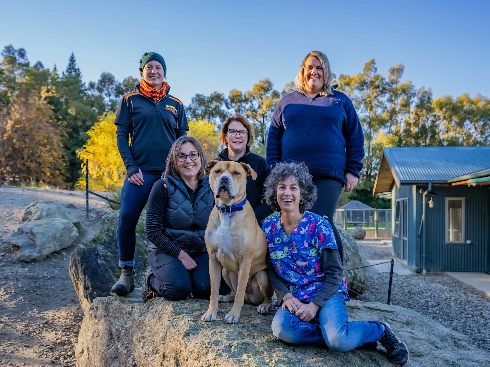 Ripponvale Pet Retreat Photo 17 05 21 11 26 47 am