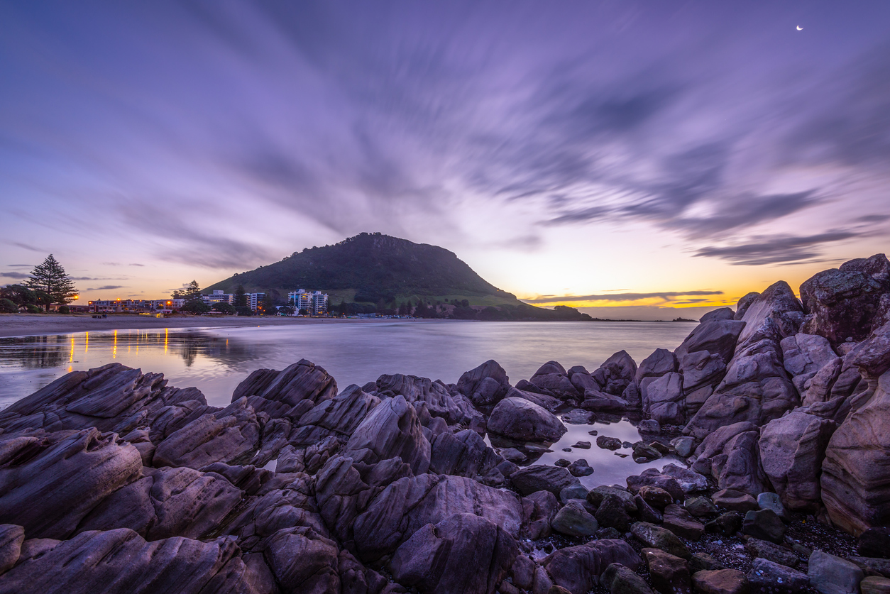 Tauranga waterfront and harbour