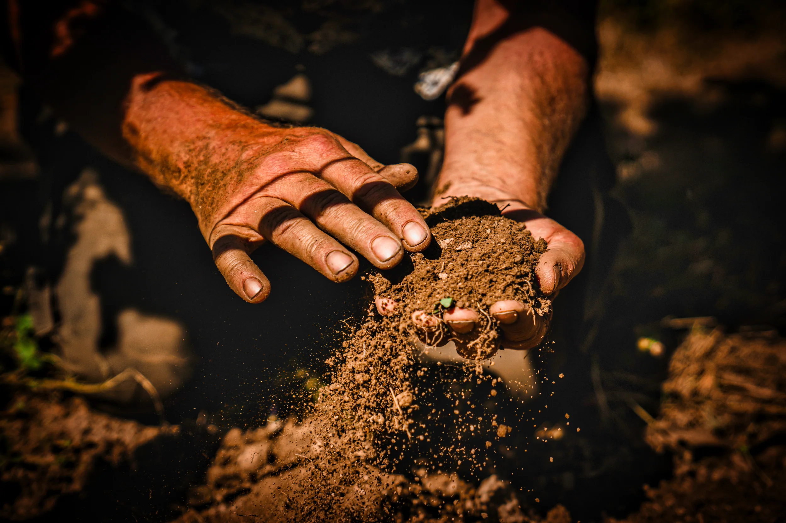 Bald Hills Soils