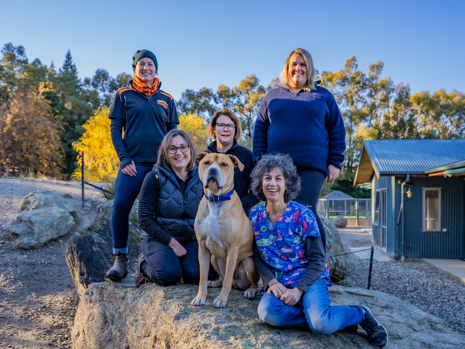 Ripponvale Pet Retreat Photo 17 05 21 11 26 47 am