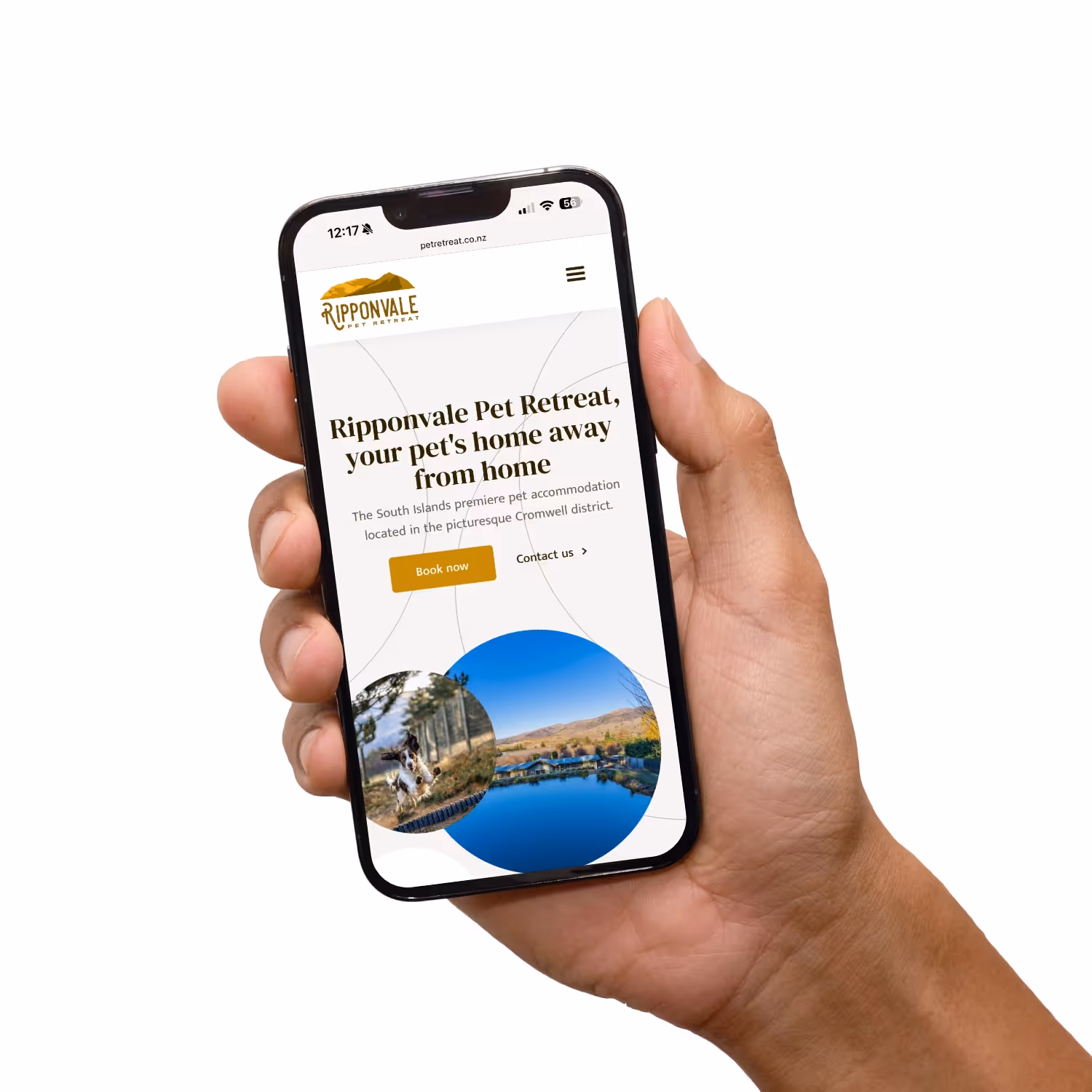 Hand holding mobile phone with website